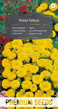 Aksamitka rozpierzchła Petite Yellow - nasiona