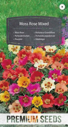 Portulaka pojedyncza mix - nasiona