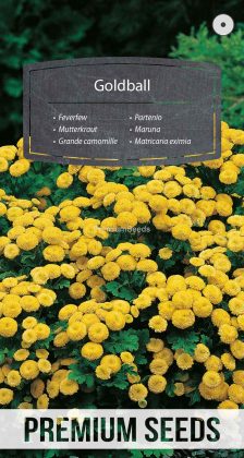Maruna Goldball - nasiona