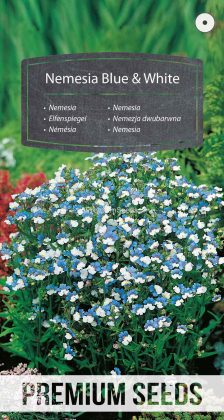 Nemezja dwubarwna niebiesko-biała - nasiona