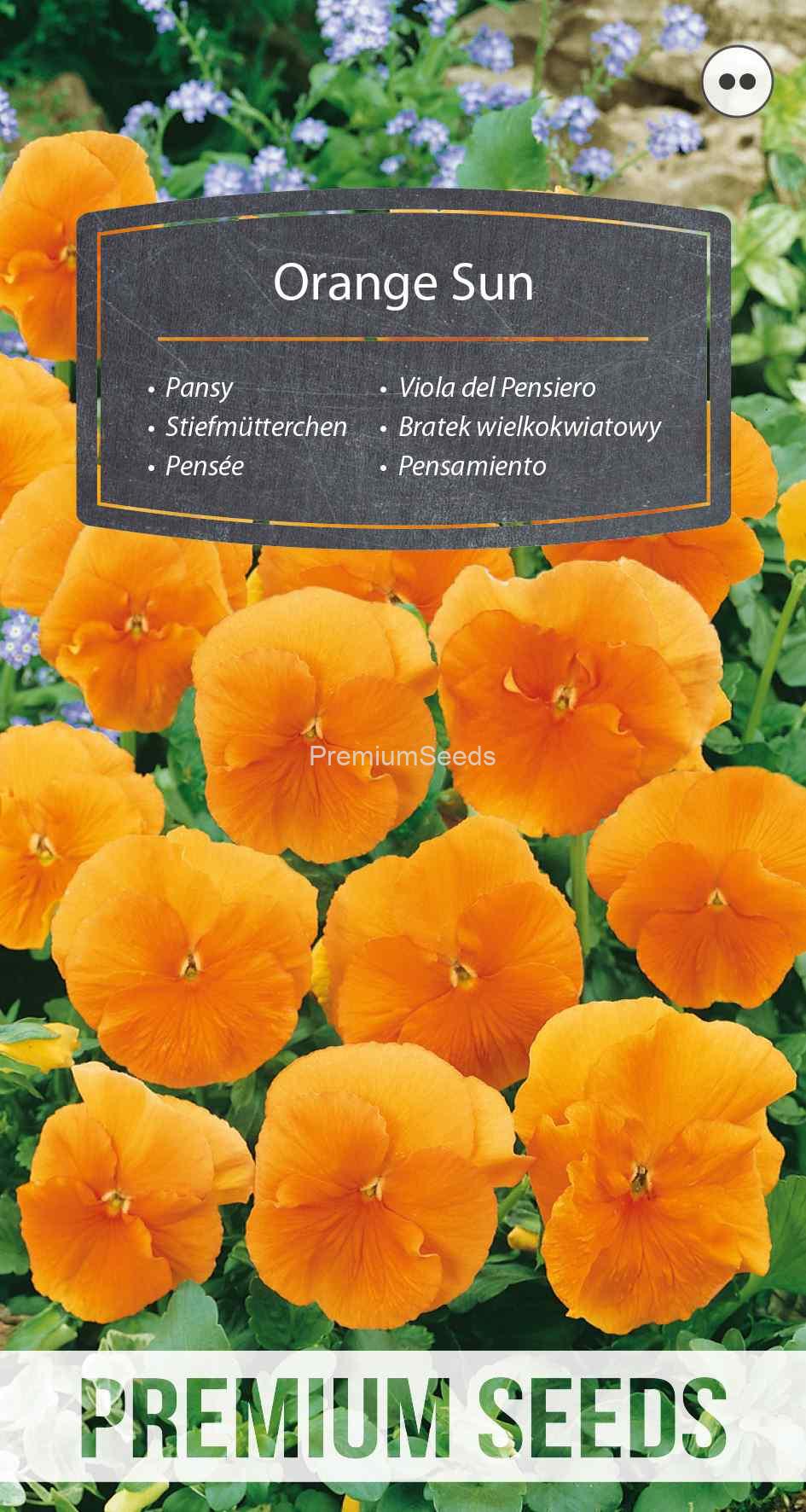 WORLD N 150 7821_VS Bratek wielkokwiatowy Orange Sun - pomarańczowy - nasiona