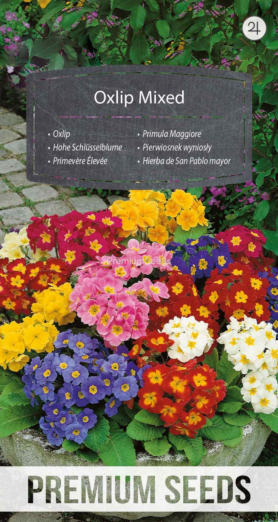 WORLD N 92 64 53_VS Pierwiosnek wyniosły mix - nasiona