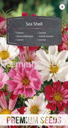 Cosmea Sea Shell - Miscuglio - semi
