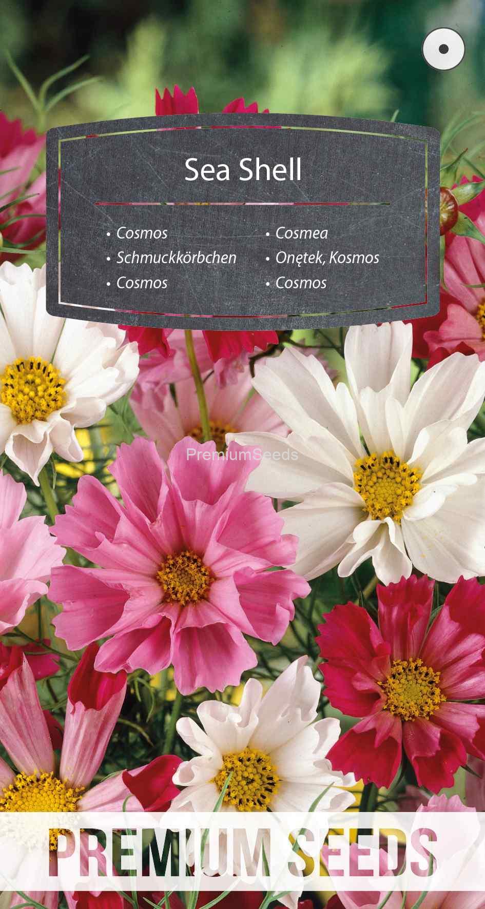 WORLD N G 450 0538_VS Cosmos Sea Shell - Mélange - semences