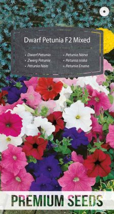Petunia niska F2 mix - nasiona