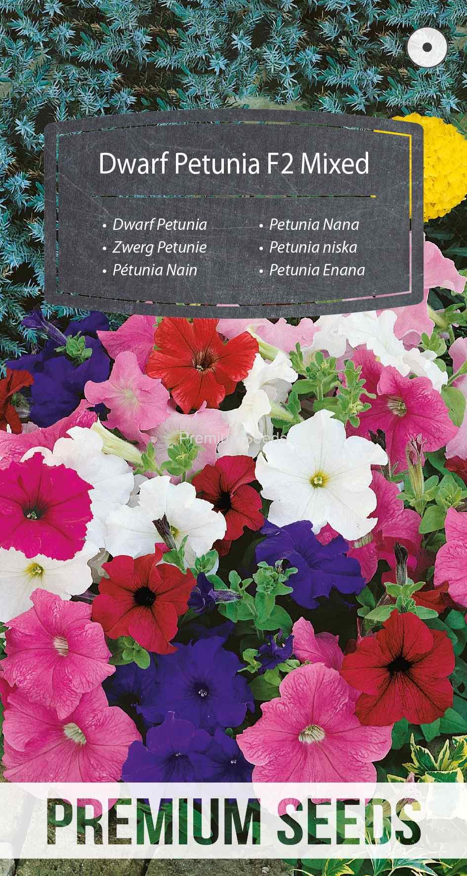WORLD N G 450 0851_VS Petunia niska F2 mix - nasiona