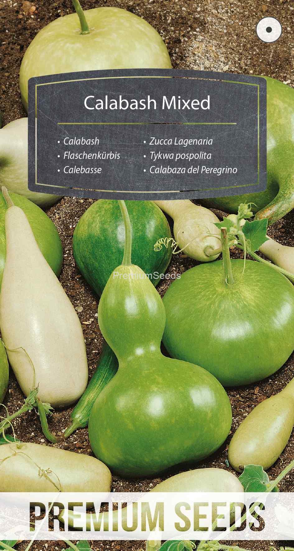 WORLD N G 470 0351_VS Calebasse - Mélange - semences