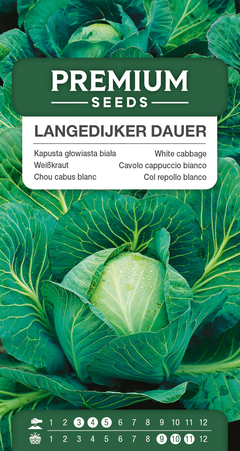 1SWIA-WO-GE-11028_VS White cabbage Langedijker Dauer – seeds