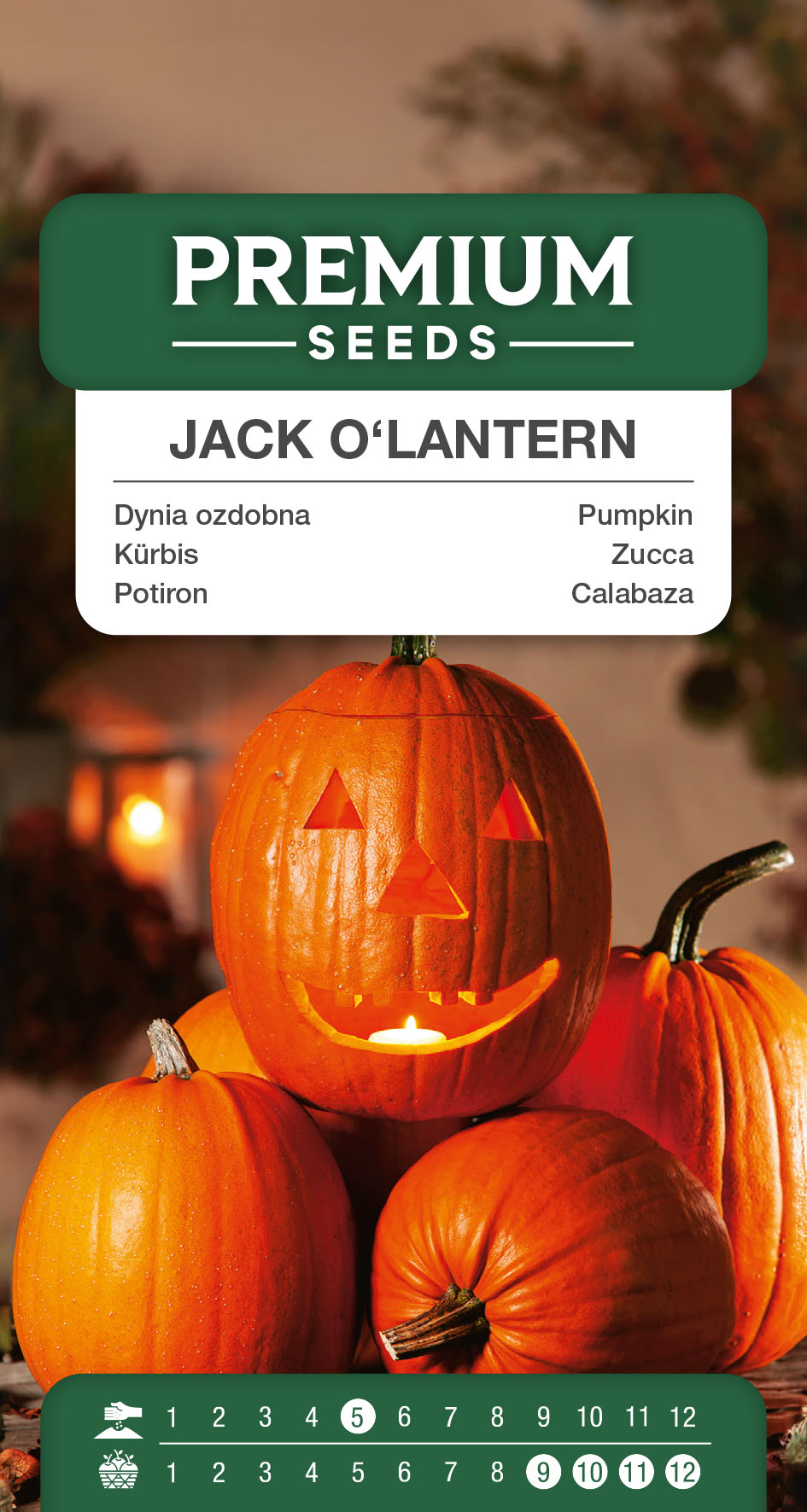 1SWIA-WO-GE-11075_VS Pumpkin Jack O’Lanterno – seeds