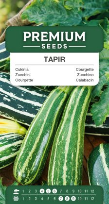 Courgette, zucchini Tapir – seeds