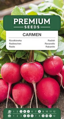 Radish Carmen – seeds