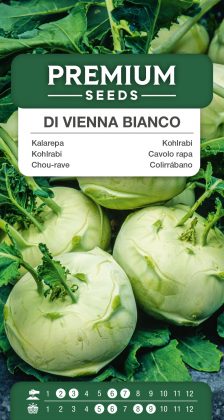Kohlrabi Di Vienna bianco – seeds