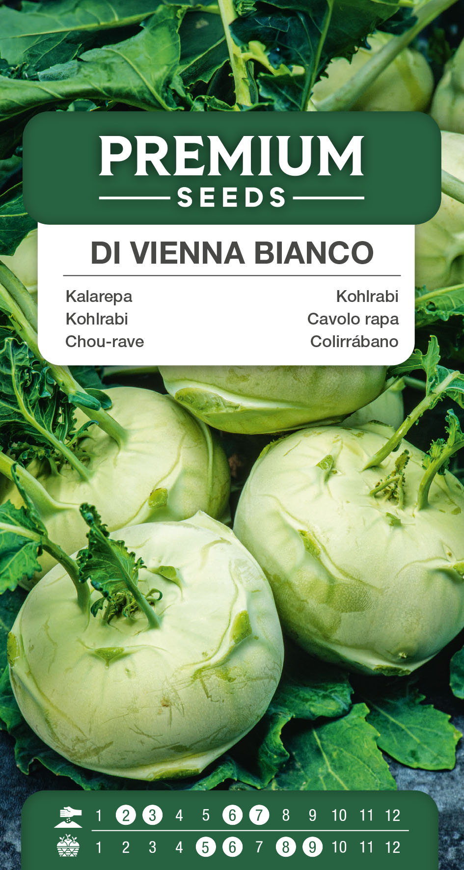 SWIA-WO-GE-11004_VS Kohlrabi Di Vienna bianco – seeds