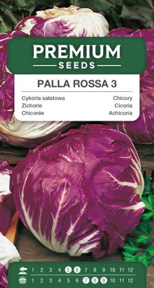 Chicory Palla Rossa 3 – seeds