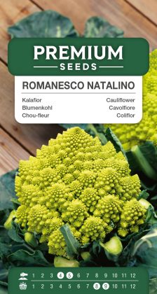 Cauliflower Romanesco Natalino – seeds