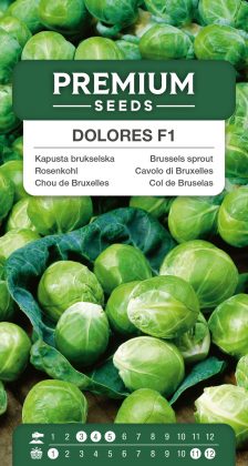 Brussels sprout Dolores F1 – seeds