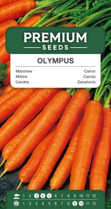 Carrot Olympus – seeds
