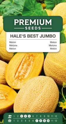 Melon Hale’s Best Jumbo – seeds