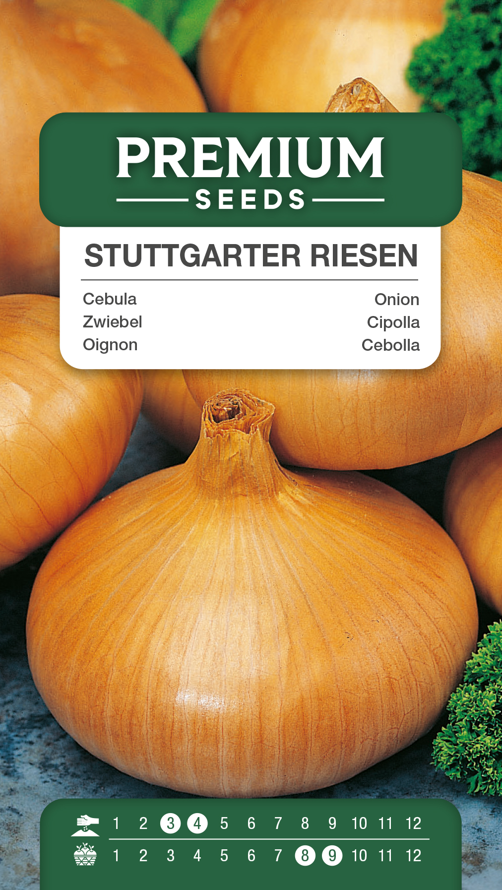 SWIA-WO-GE-11026_VS Onion Stuttgarter Riesen – seeds