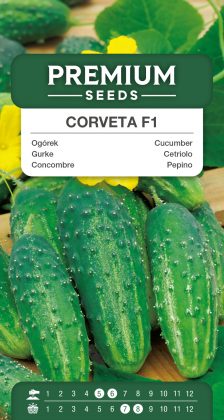 Cucumber Corveta F1– seeds
