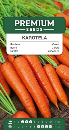 Carrot Karotela – seeds