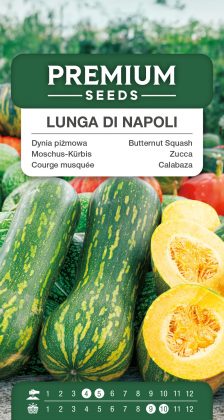 Butternut Squash Lunga Di Napoli – seeds