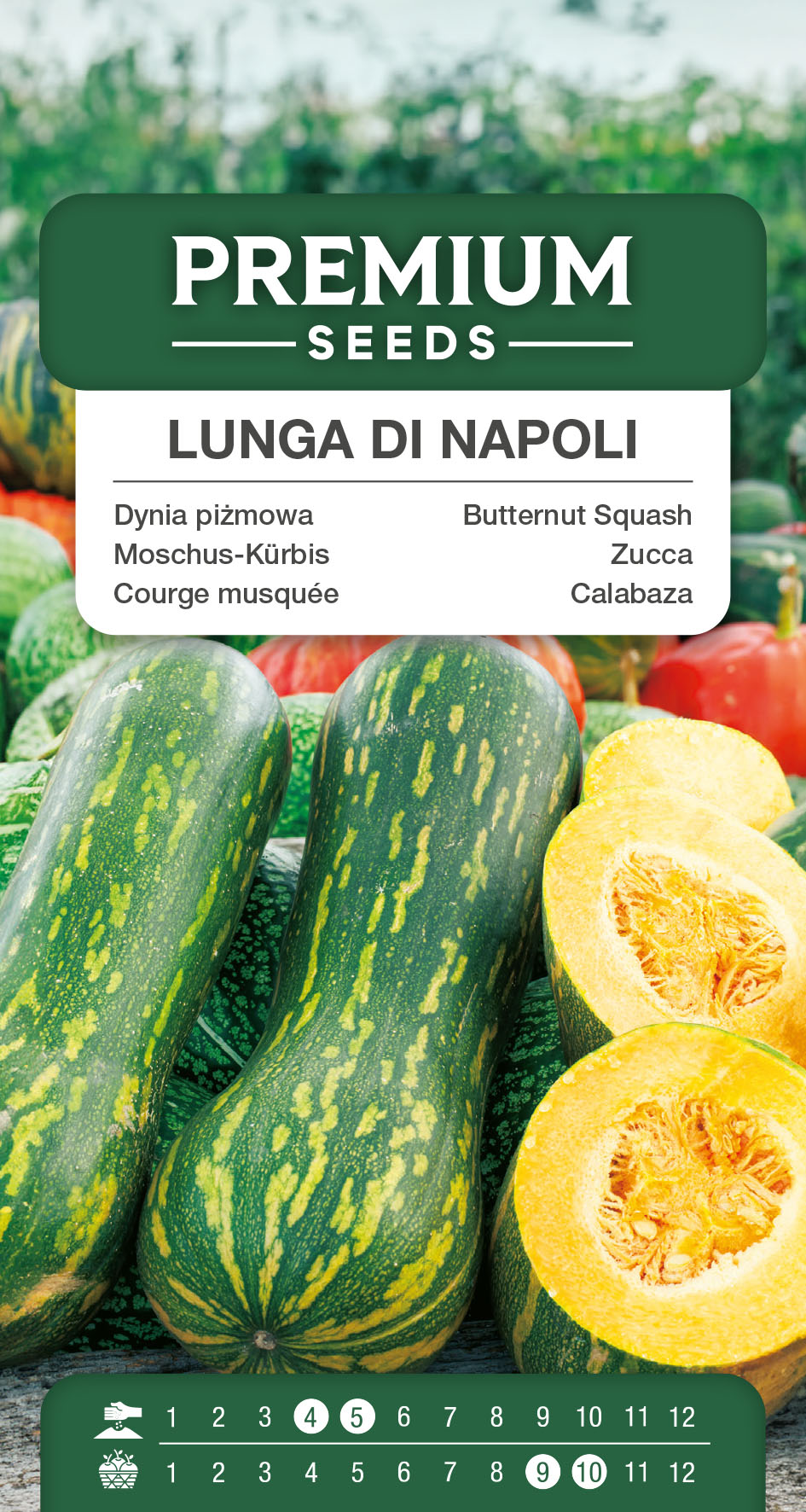 SWIA-WO-GE-11051_VS Butternut Squash Lunga Di Napoli – seeds