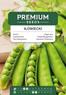 Sugar pea Iłówiecki – seeds