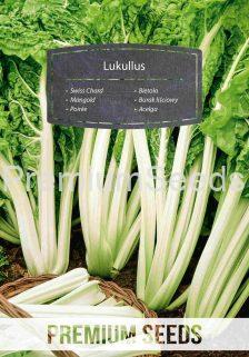 Swiss Chard Lukullus - seeds