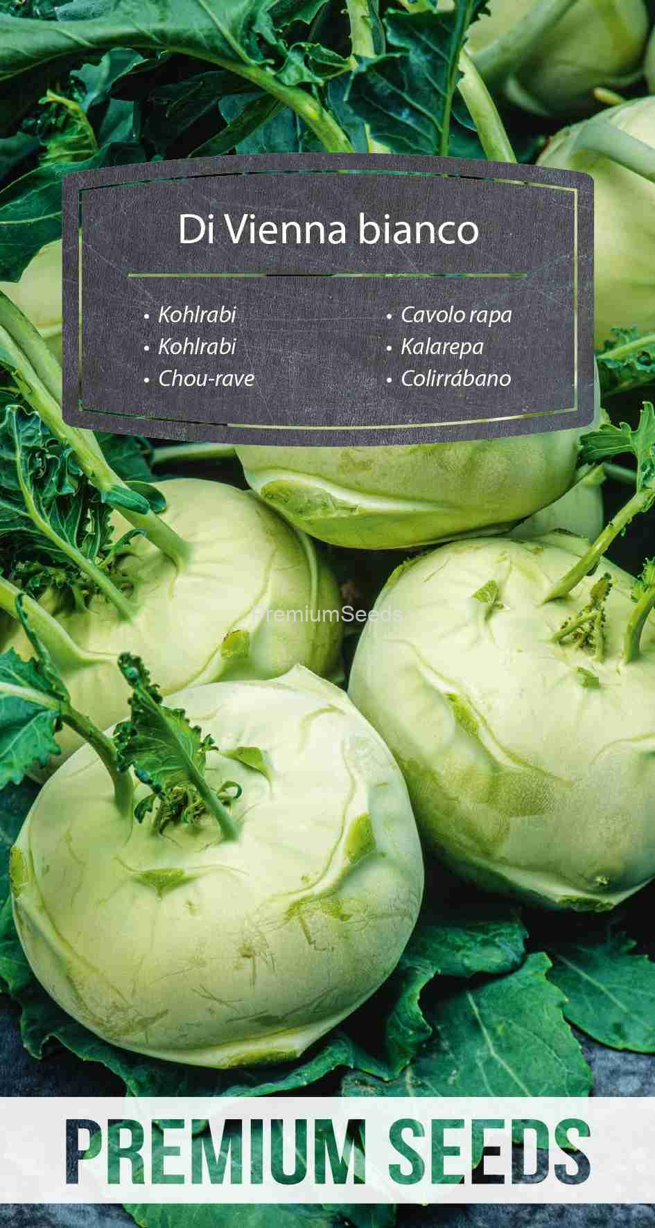 WORLD 10084705PA_VS Kohlrabi Di Vienna bianco - seeds
