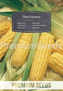 Sweet corn GOLDEN DWARF ('Złota Karłowa') - seeds