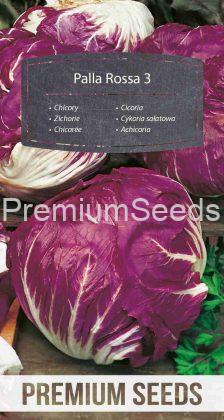 Chicory Palla Rossa 3 – seeds