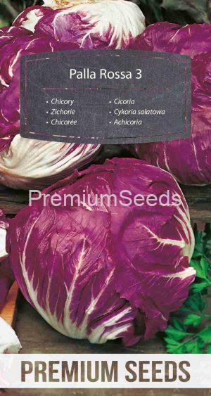 Chicory Palla Rossa 3 – seeds