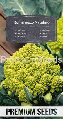 Cauliflower Romanesco Natalino – seeds