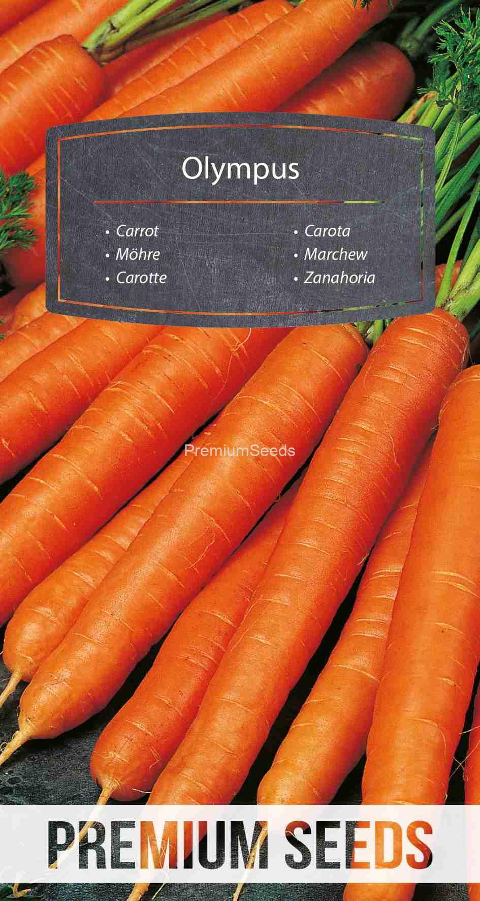 WORLD 14006737PA_VS Carrot Olympus – seeds