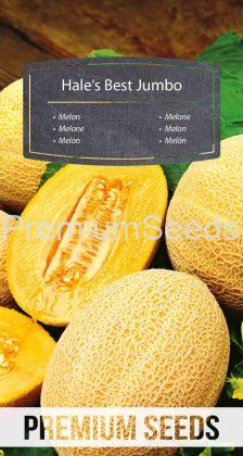 Melon Hale's Best Jumbo – seeds