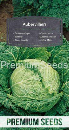 Savoy cabbage Aubervilliers – seeds