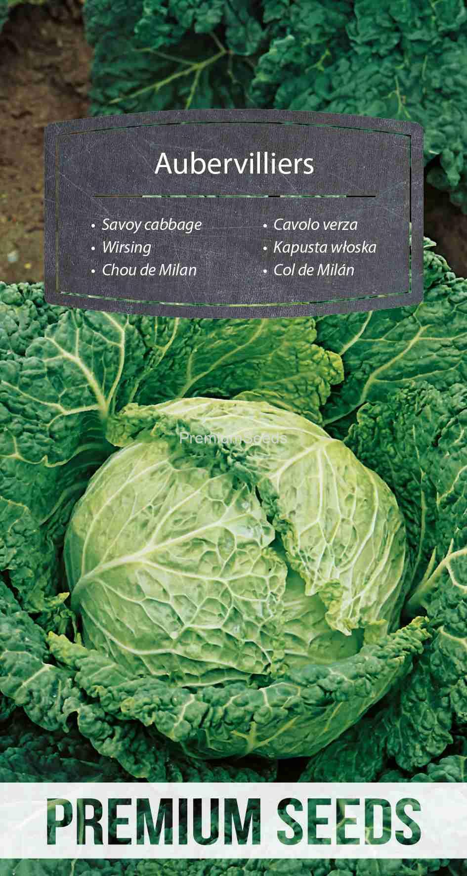 WORLD 14009157PA_VS Savoy cabbage Aubervilliers – seeds
