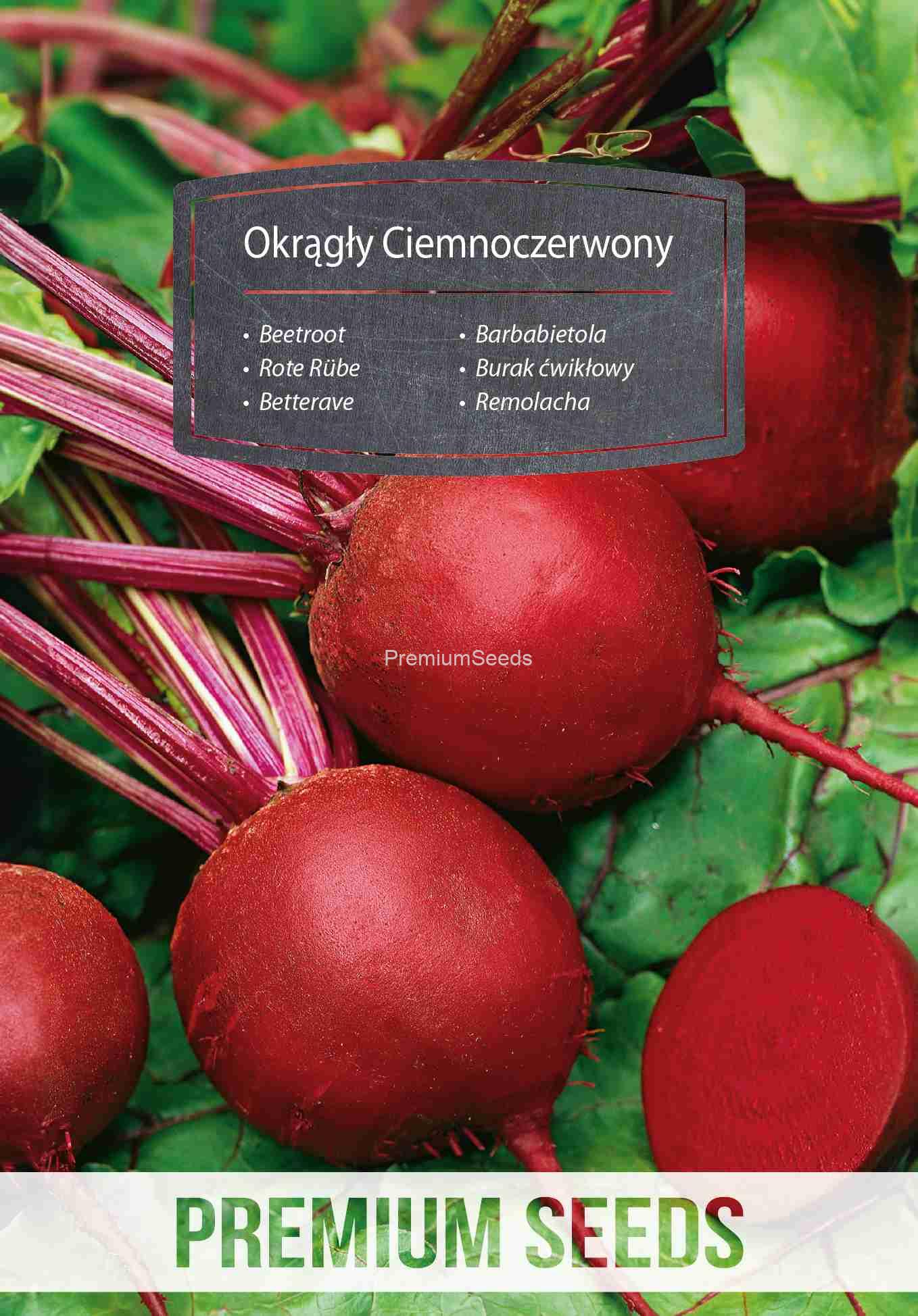 WORLD 14014363PA _VS Beetroot ROUND DARK RED ('Okrągły Ciemnoczerwony') – seeds