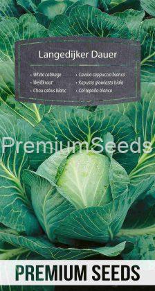White cabbage Langedijker Dauer – seeds