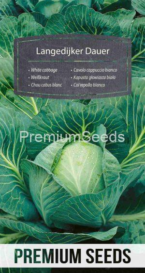 White cabbage Langedijker Dauer – seeds