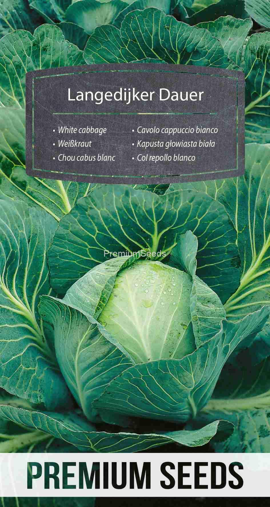 WORLD 14014703PA_VS White cabbage Langedijker Dauer – seeds