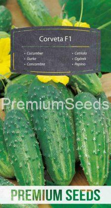 Cucumber Corveta F1– seeds