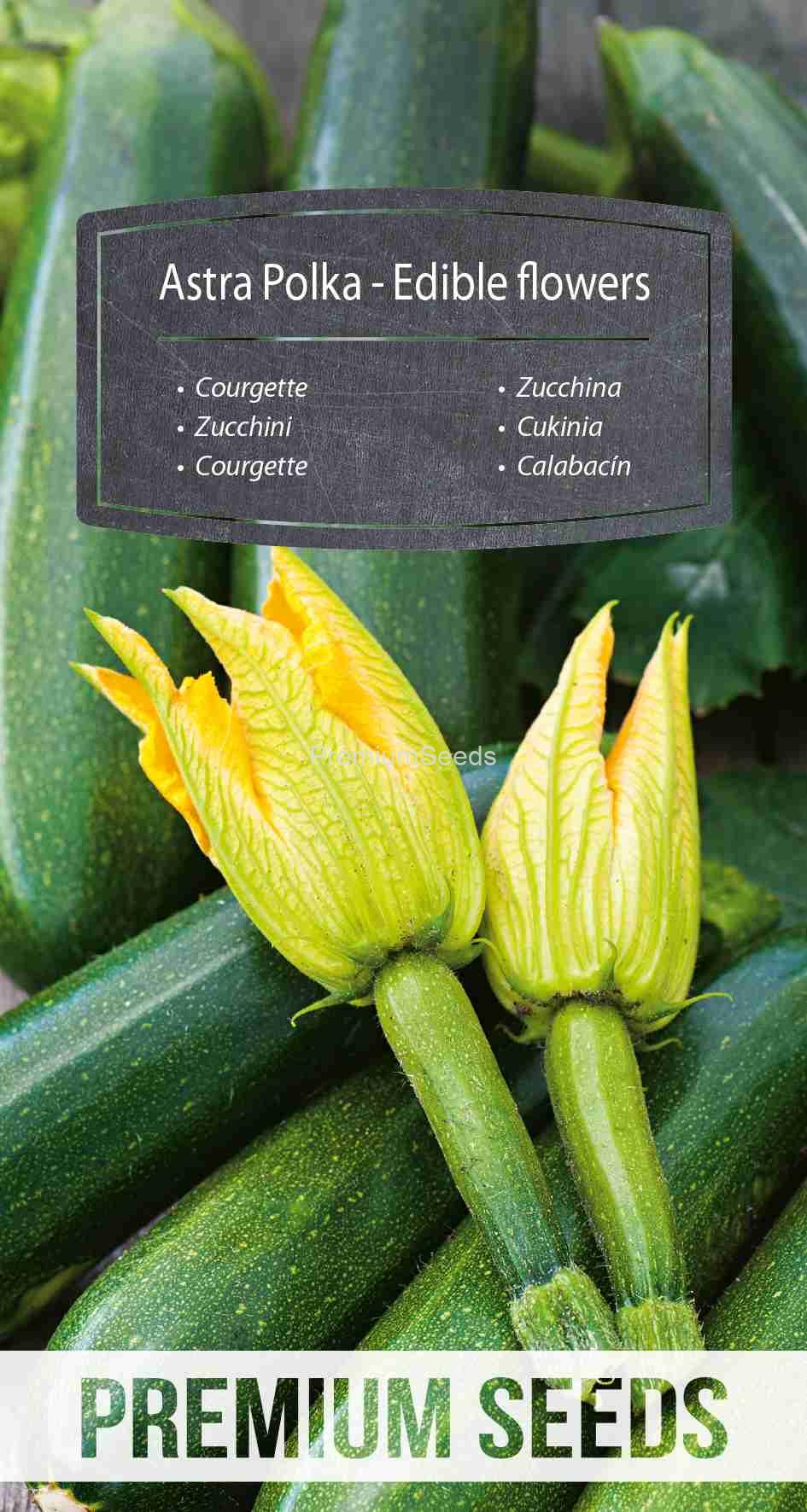 WORLD 14239722PA_VS Edible Flowers - Courgette Astra Polka – seeds
