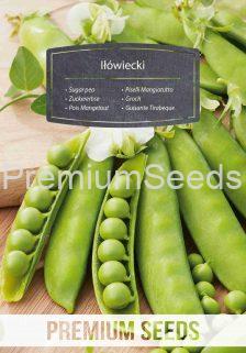 Sugar pea Iłówiecki – seeds