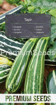 Courgette, zucchini Tapir – seeds
