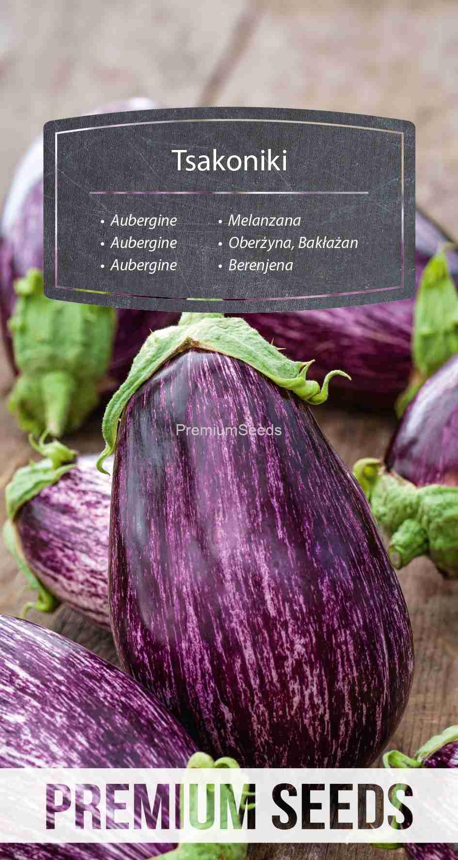 WORLD 14283951PA_VS Aubergine Tsakoniki - seed