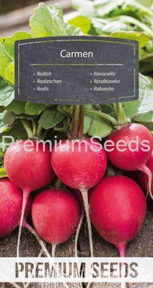 Radish Carmen - seeds