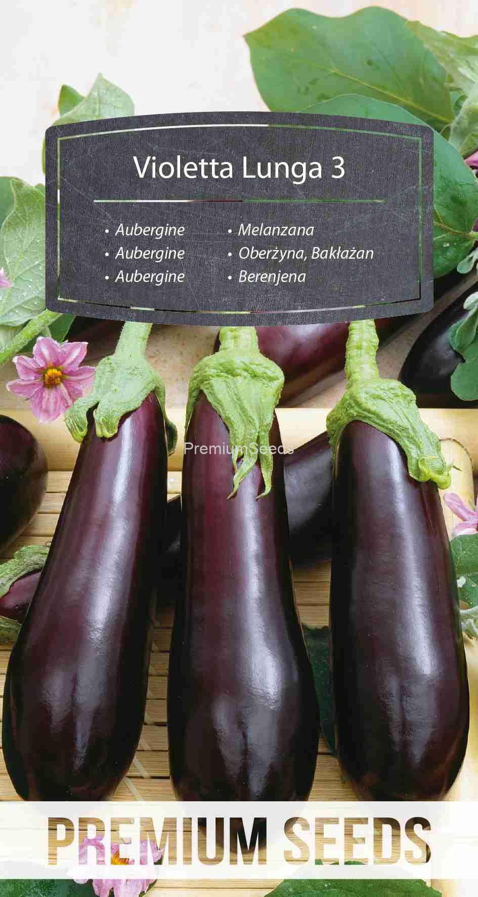 WORLD N 94 01 67_VS Aubergine Violetta Lunga 3 – seeds