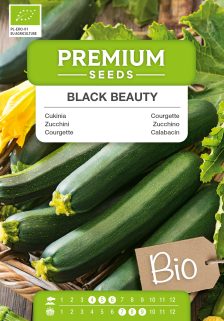 BIO Courgette Black Beauty